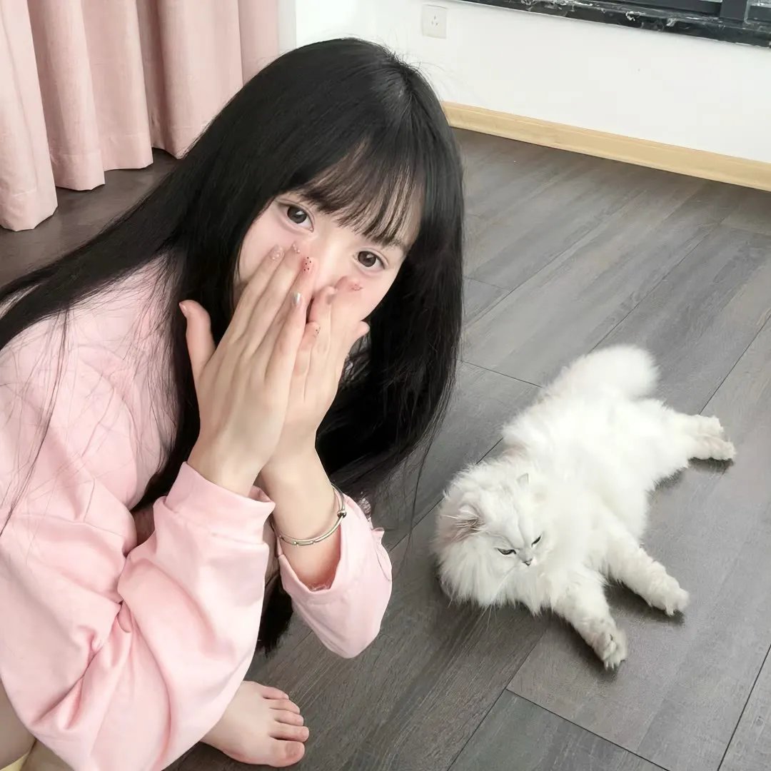 春海报